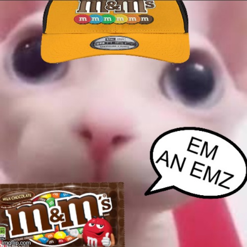 em an emz | image tagged in em an emz | made w/ Imgflip meme maker