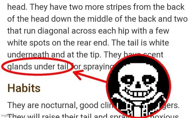 SANS UNDERTALE!?!?!?!? | image tagged in sans,undertale,front page,memes,funny,relatable | made w/ Imgflip meme maker