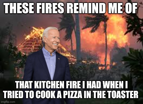joe biden | THESE FIRES REMIND ME OF; THAT KITCHEN FIRE I HAD WHEN I TRIED TO COOK A PIZZA IN THE TOASTER | image tagged in wildfires | made w/ Imgflip meme maker