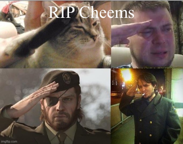 Rip | RIP Cheems | image tagged in ozon's salute | made w/ Imgflip meme maker