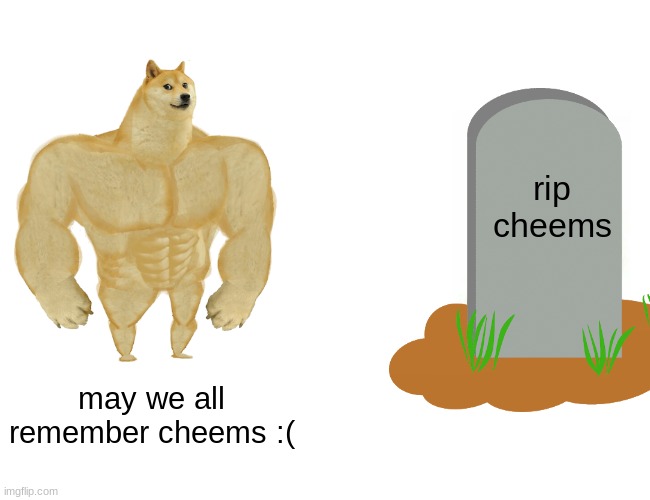 rip cheems | rip
cheems; may we all remember cheems :( | image tagged in memes,buff doge vs cheems,cheems,goodbye | made w/ Imgflip meme maker