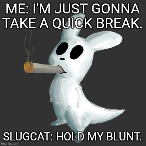 damn, | ME: I'M JUST GONNA TAKE A QUICK BREAK. SLUGCAT: HOLD MY BLUNT. | image tagged in slugcat smoke | made w/ Imgflip meme maker