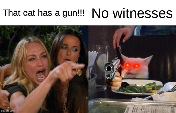 No witnesses | That cat has a gun!!! No witnesses | image tagged in memes,woman yelling at cat | made w/ Imgflip meme maker