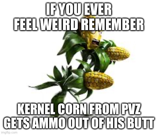 It’s true though in gw gw2 and battle for nabborvill | IF YOU EVER FEEL WEIRD REMEMBER; KERNEL CORN FROM PVZ GETS AMMO OUT OF HIS BUTT | image tagged in corn,video games,plants vs zombies | made w/ Imgflip meme maker