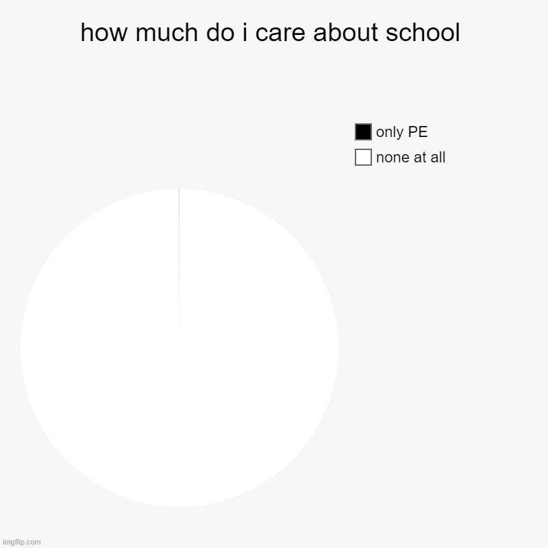 how much do i care about school | none at all, only PE | image tagged in charts,pie charts | made w/ Imgflip chart maker