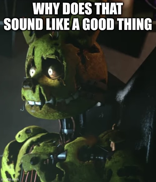 Springtrap | WHY DOES THAT SOUND LIKE A GOOD THING | image tagged in springtrap | made w/ Imgflip meme maker