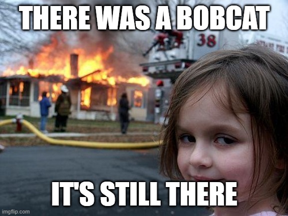 Disaster Girl Meme | THERE WAS A BOBCAT; IT'S STILL THERE | image tagged in memes,disaster girl | made w/ Imgflip meme maker