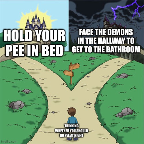 hmmmm | FACE THE DEMONS IN THE HALLWAY TO GET TO THE BATHROOM; HOLD YOUR PEE IN BED; THINKING WHETHER YOU SHOULD GO PEE AT NIGHT | image tagged in two paths,thinking,memes,funny,true story,relateable | made w/ Imgflip meme maker