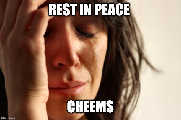 First World Problems | REST IN PEACE; CHEEMS | image tagged in memes,first world problems,cheems | made w/ Imgflip meme maker