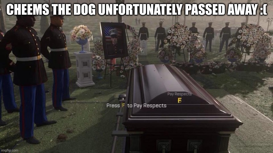 rest in peace | CHEEMS THE DOG UNFORTUNATELY PASSED AWAY :( | image tagged in press f to pay respects,cheems,rip,farewell,sad | made w/ Imgflip meme maker