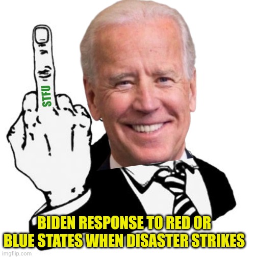 1950s Middle Finger Meme | STFU; BIDEN RESPONSE TO RED OR BLUE STATES WHEN DISASTER STRIKES | image tagged in memes,1950s middle finger | made w/ Imgflip meme maker
