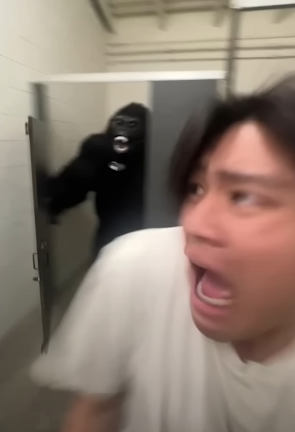 Monkey jumpscare Blank Meme Template