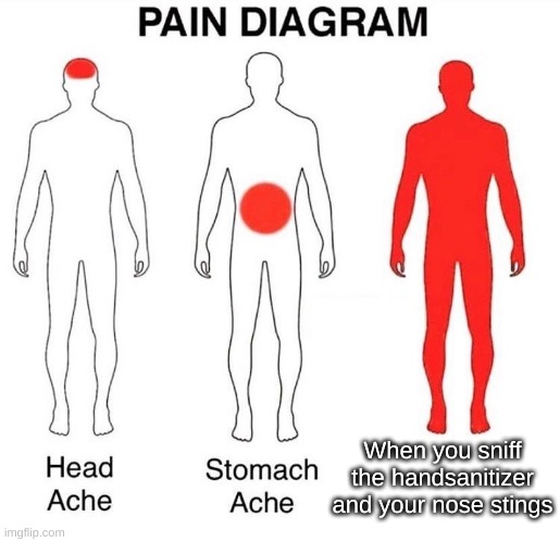 nose stings | When you sniff the handsanitizer and your nose stings | image tagged in pain diagram,hand sanitizer,pain,relateable,true story,memes | made w/ Imgflip meme maker