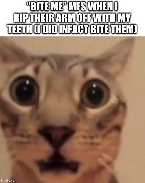 Flabbergasted cat | “BITE ME” MFS WHEN I RIP THEIR ARM OFF WITH MY TEETH (I DID INFACT BITE THEM) | image tagged in flabbergasted cat | made w/ Imgflip meme maker