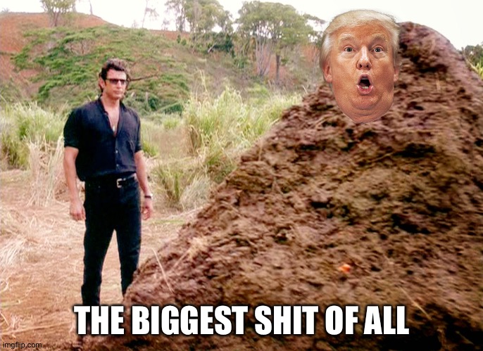 Jurassic Park shit | THE BIGGEST SHIT OF ALL | image tagged in jurassic park shit | made w/ Imgflip meme maker