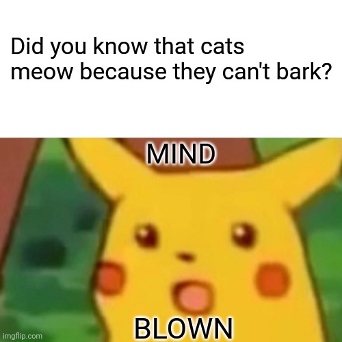 4 Yr olds be like | Did you know that cats meow because they can't bark? MIND; BLOWN | image tagged in memes,surprised pikachu | made w/ Imgflip meme maker