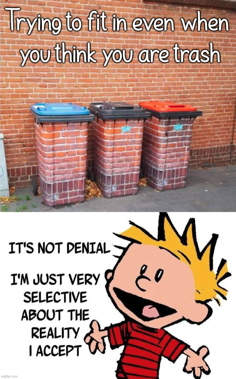 Sometimes we just do not fit in | Trying to fit in even when 
you think you are trash | image tagged in trash,fitting in,expectation vs reality,who are you | made w/ Imgflip meme maker
