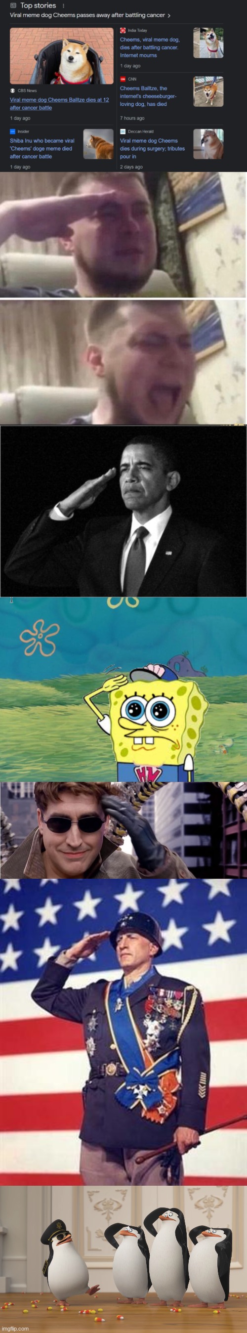 Farewell Cheems... | image tagged in crying salute,obama-salute,spongebob salute,salute,patton salutes you,saluting skipper | made w/ Imgflip meme maker