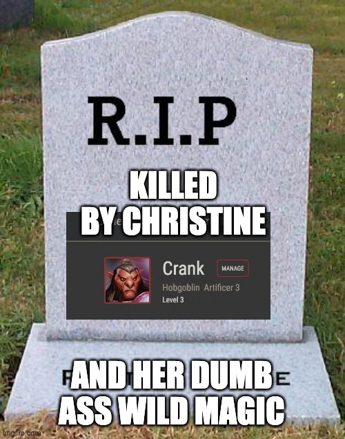 RIP headstone | KILLED BY CHRISTINE; AND HER DUMB ASS WILD MAGIC | image tagged in rip headstone | made w/ Imgflip meme maker