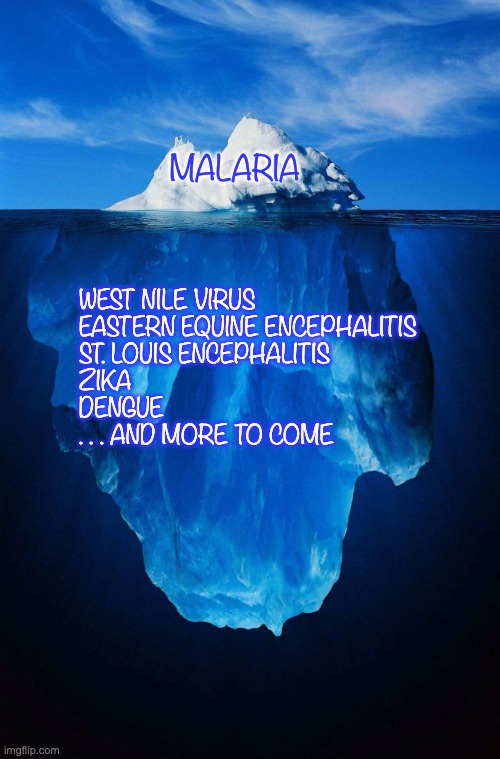 Mosquito season is time to think about the climate | MALARIA; WEST NILE VIRUS
EASTERN EQUINE ENCEPHALITIS
ST. LOUIS ENCEPHALITIS
ZIKA
DENGUE
. . . AND MORE TO COME | image tagged in iceberg,disease,global warming,climate change,mosquitoes | made w/ Imgflip meme maker