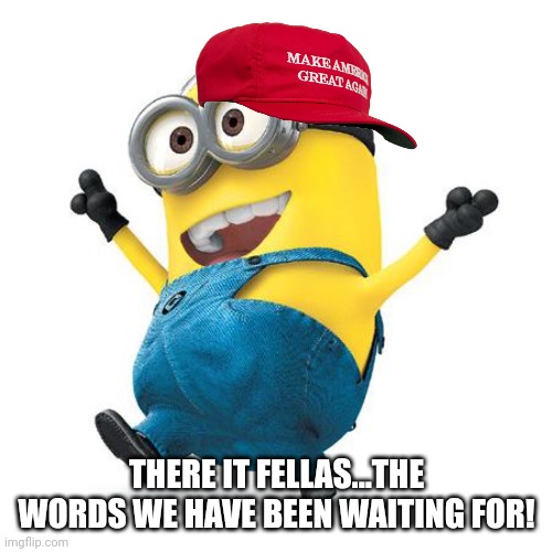 Happy Minion | THERE IT FELLAS...THE WORDS WE HAVE BEEN WAITING FOR! | image tagged in happy minion | made w/ Imgflip meme maker