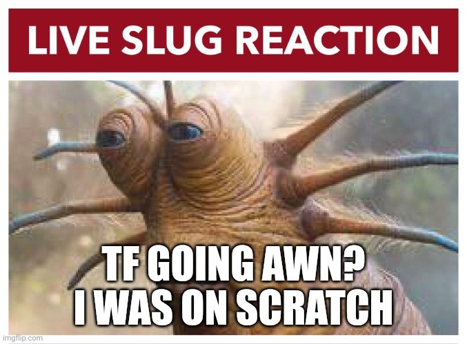 Live slug reaction | TF GOING AWN?
I WAS ON SCRATCH | image tagged in live slug reaction | made w/ Imgflip meme maker