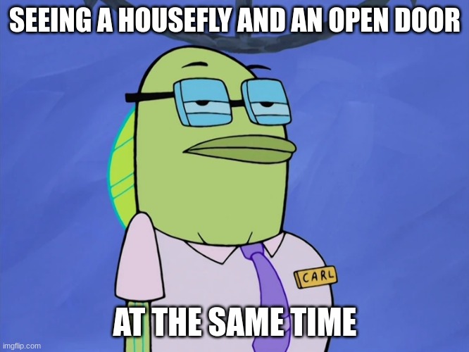 If only everyone followed house rules | SEEING A HOUSEFLY AND AN OPEN DOOR; AT THE SAME TIME | image tagged in spongebob,insects,memes,rules,spongebob | made w/ Imgflip meme maker