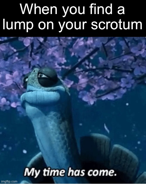 My Time Has Come | When you find a lump on your scrotum | image tagged in my time has come | made w/ Imgflip meme maker