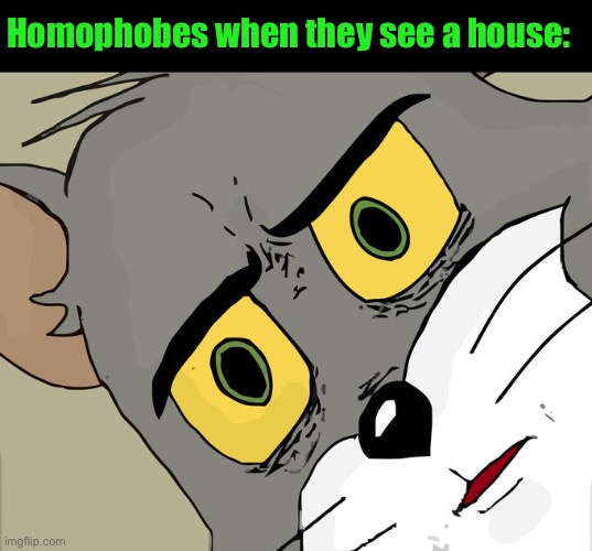 Unsettled Tom Meme | Homophobes when they see a house: | image tagged in memes,unsettled tom | made w/ Imgflip meme maker