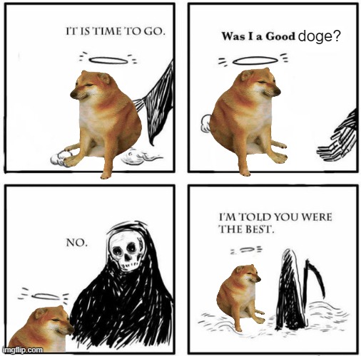 Cheems was a good doge | doge? | image tagged in blank was i a good boy | made w/ Imgflip meme maker