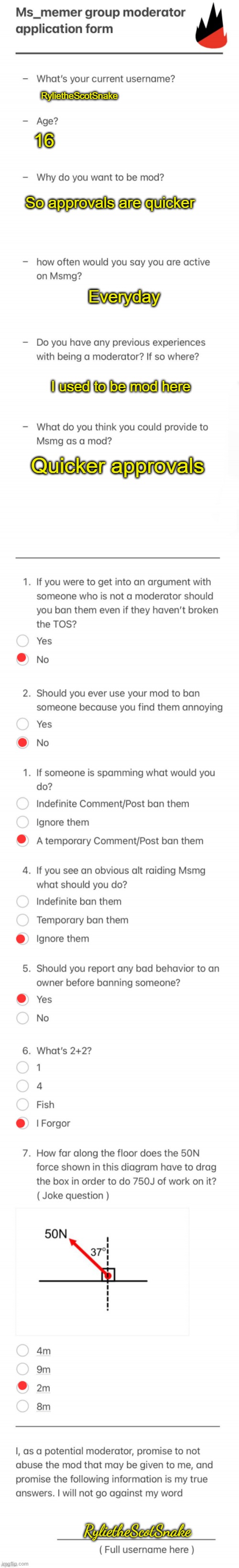 UPDATED MSMG MOD FORM | RylietheScotSnake; 16; So approvals are quicker; Everyday; I used to be mod here; Quicker approvals; RylietheScotSnake | image tagged in updated msmg mod form | made w/ Imgflip meme maker