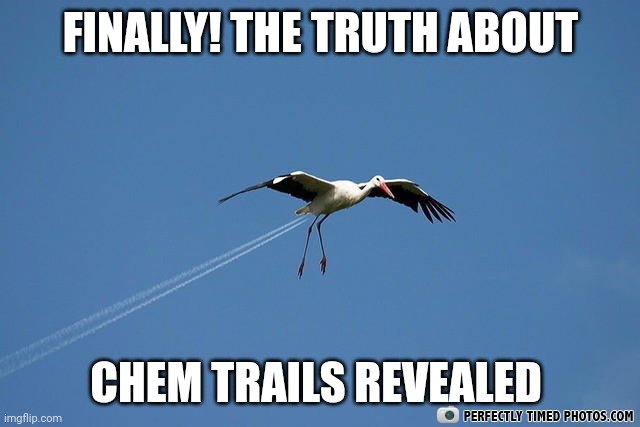 FINALLY! THE TRUTH ABOUT; CHEM TRAILS REVEALED | image tagged in animal,funny | made w/ Imgflip meme maker