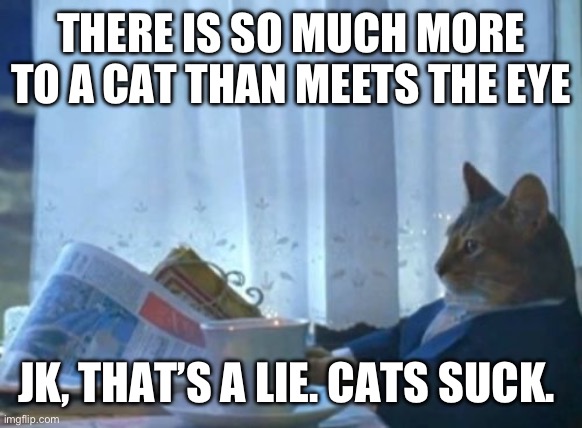 I Should Buy A Boat Cat Meme | THERE IS SO MUCH MORE TO A CAT THAN MEETS THE EYE; JK, THAT’S A LIE. CATS SUCK. | image tagged in memes,i should buy a boat cat,evil cat,shoot the cats,kill them,jk | made w/ Imgflip meme maker