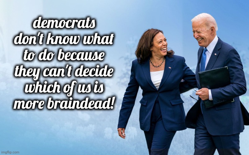 Biden and Harris | democrats don't know what to do because they can't decide which of us is
more braindead! | image tagged in biden and harris,election 2024,democrats,braindead,incompetence | made w/ Imgflip meme maker