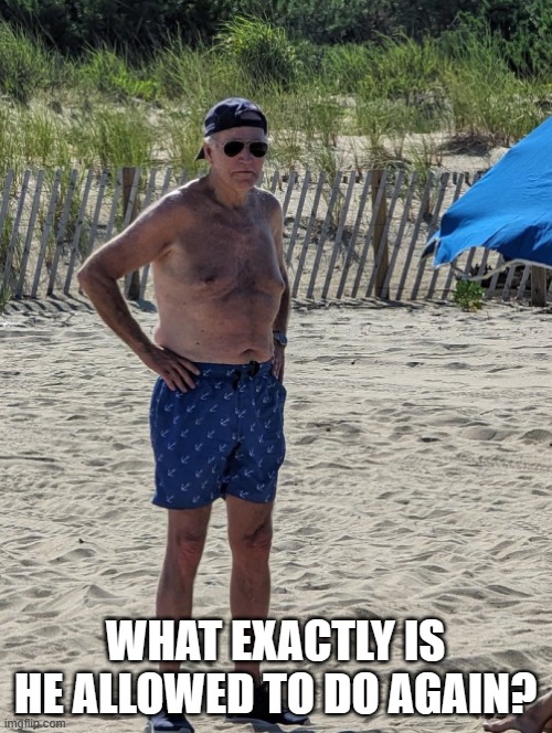 Joe Biden beach | WHAT EXACTLY IS HE ALLOWED TO DO AGAIN? | image tagged in joe biden beach | made w/ Imgflip meme maker