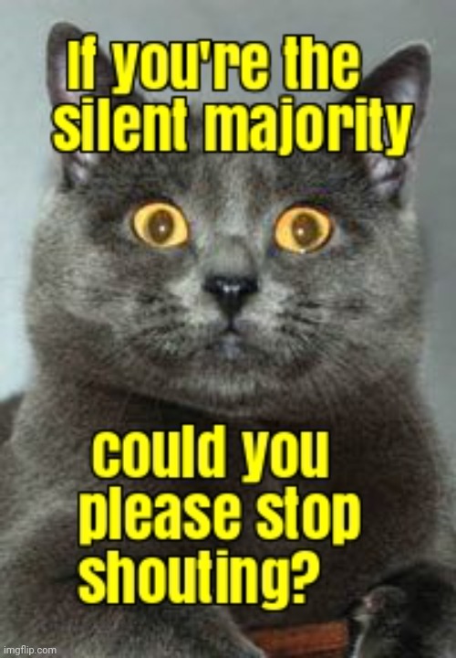 This lolcat wonders why people think that the louder they shout, the more right they are | image tagged in silent majority,lolcat,right wing,shouting | made w/ Imgflip meme maker