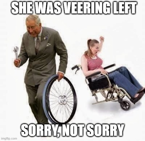 Let Me Help You | SHE WAS VEERING LEFT; SORRY, NOT SORRY | image tagged in republicans,democrats,game,trust,fuck this shit,bullshit tag to feel better about myself | made w/ Imgflip meme maker