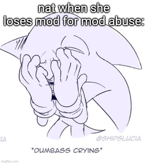 (when she said the n word like 10 times) | nat when she loses mod for mod abuse: | image tagged in sonic dumbass crying | made w/ Imgflip meme maker