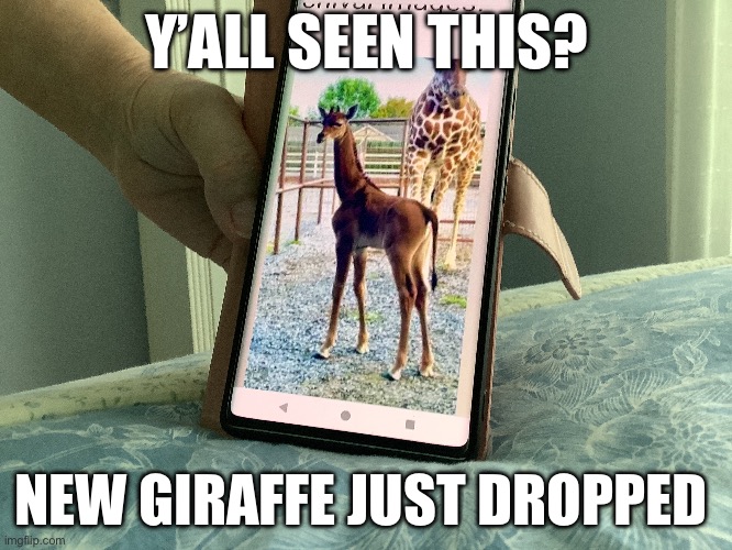 qhar? | Y’ALL SEEN THIS? NEW GIRAFFE JUST DROPPED | image tagged in giraffe | made w/ Imgflip meme maker