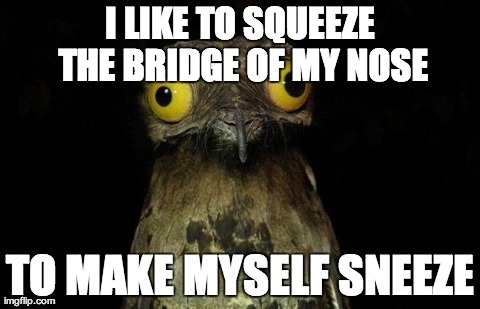 Weird Stuff I Do Potoo | I LIKE TO SQUEEZE THE BRIDGE OF MY NOSE TO MAKE MYSELF SNEEZE | image tagged in memes,weird stuff i do potoo | made w/ Imgflip meme maker