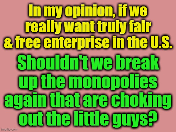 Break up the monopolies. | In my opinion, if we really want truly fair & free enterprise in the U.S. Shouldn't we break up the monopolies again that are choking out the little guys? | image tagged in politics,break up cooperate monopolies in the us | made w/ Imgflip meme maker