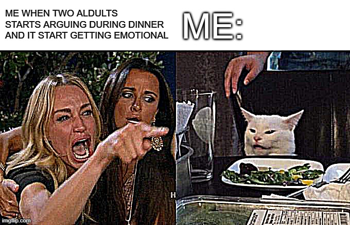 TYPICAL FAMILY DINNER | ME WHEN TWO ALDULTS STARTS ARGUING DURING DINNER AND IT START GETTING EMOTIONAL; ME: | image tagged in memes,woman yelling at cat | made w/ Imgflip meme maker