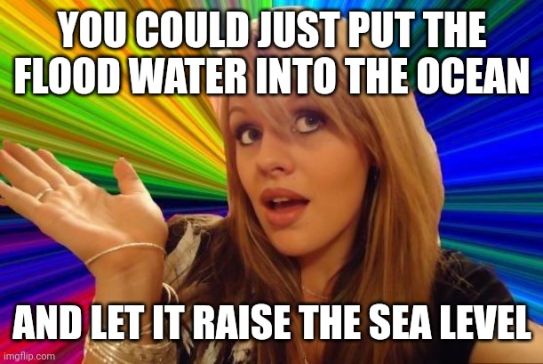 Dumb Blonde Meme | YOU COULD JUST PUT THE FLOOD WATER INTO THE OCEAN AND LET IT RAISE THE SEA LEVEL | image tagged in memes,dumb blonde | made w/ Imgflip meme maker