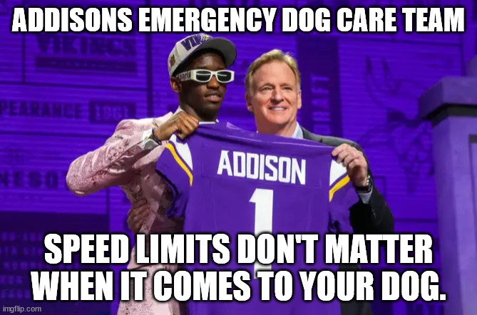 ja dog care team | ADDISONS EMERGENCY DOG CARE TEAM; SPEED LIMITS DON'T MATTER WHEN IT COMES TO YOUR DOG. | image tagged in dogs | made w/ Imgflip meme maker