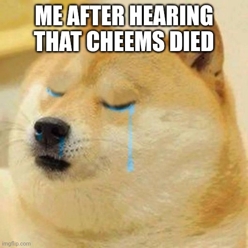 crying doge | ME AFTER HEARING THAT CHEEMS DIED | image tagged in crying doge | made w/ Imgflip meme maker