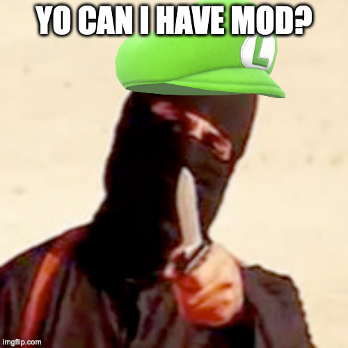 please | YO CAN I HAVE MOD? | image tagged in luigichad oc | made w/ Imgflip meme maker