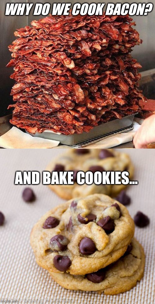 Credits to LickyGuy17 | WHY DO WE COOK BACON? AND BAKE COOKIES... | image tagged in bacon,punny cookies | made w/ Imgflip meme maker