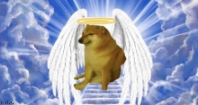 Today is the day doge died, F to pay respects. | made w/ Imgflip meme maker