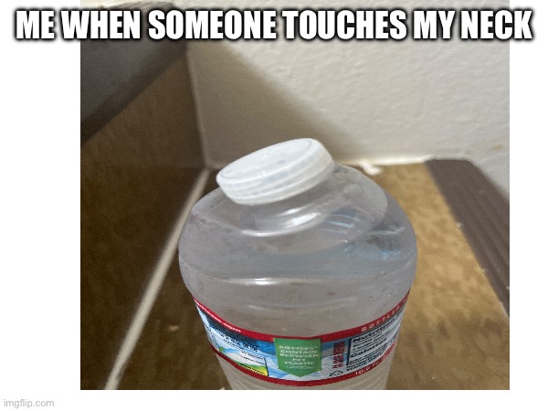 Me when neck | ME WHEN SOMEONE TOUCHES MY NECK | image tagged in neck moment | made w/ Imgflip meme maker