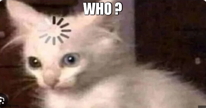 Buffering Cat | WHO ? | image tagged in buffering cat | made w/ Imgflip meme maker
